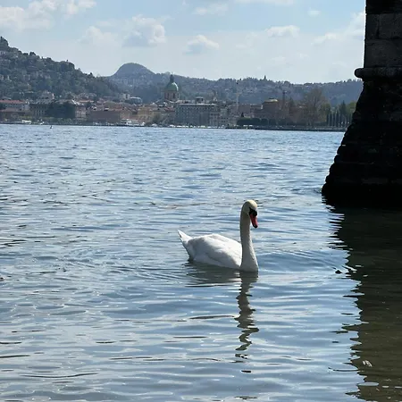 Portatorre Suite, A Charming In The Heart Of Como, Free Private Parking, Air Conditioning & More! Como